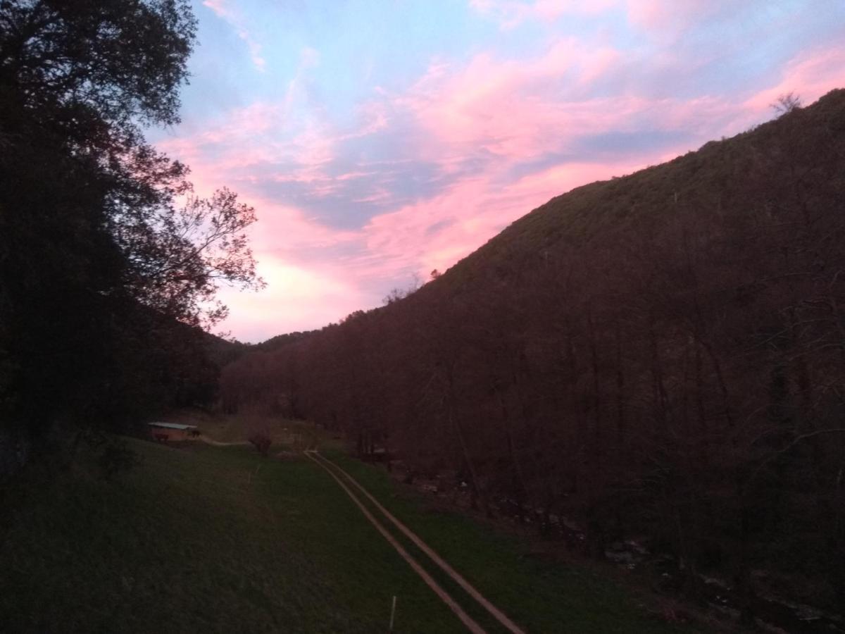 Chambre Cevennes: Piscine, Lamas, Riviere Cros  Exteriör bild