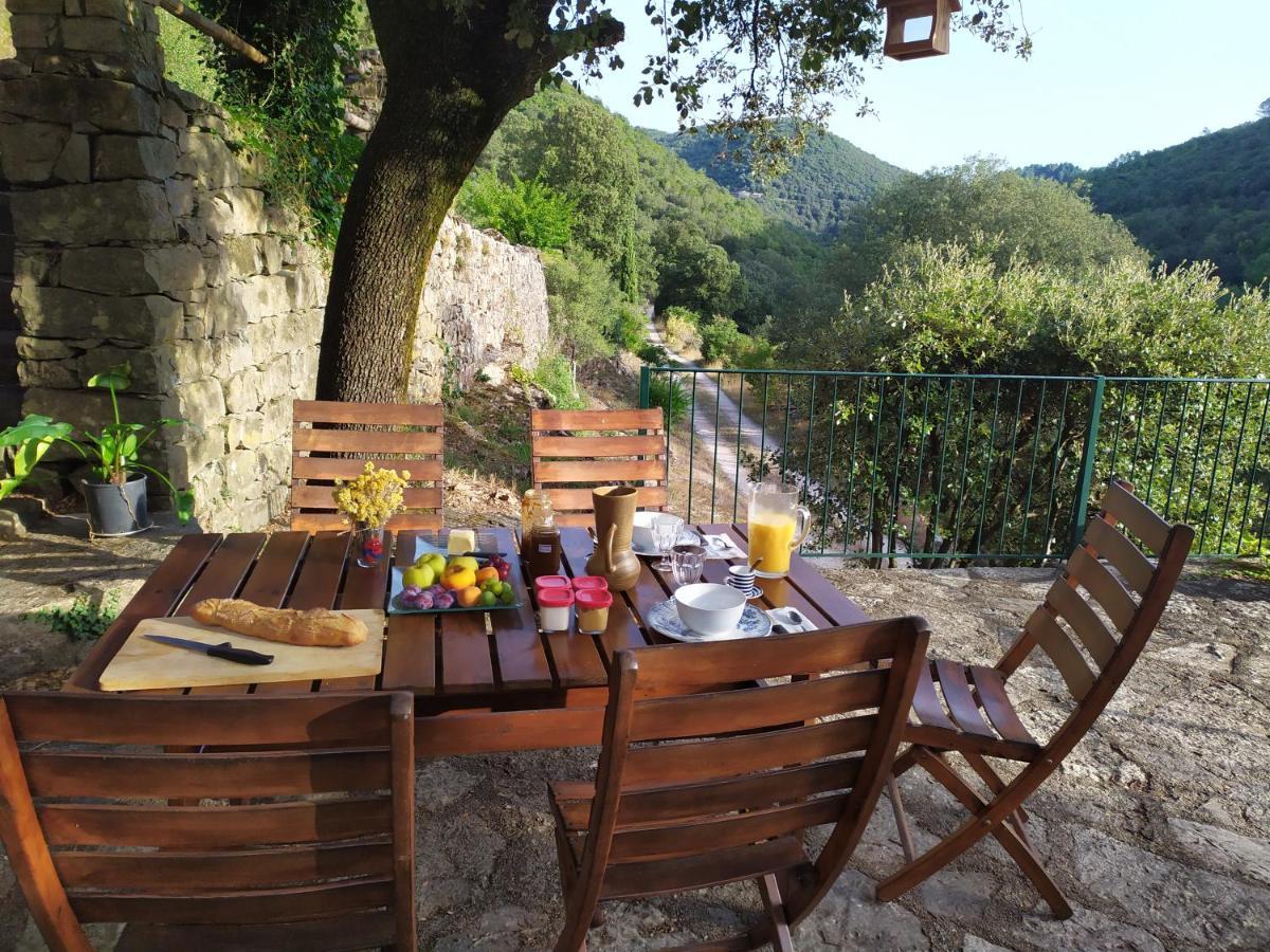 Chambre Cevennes: Piscine, Lamas, Riviere Cros  Exteriör bild