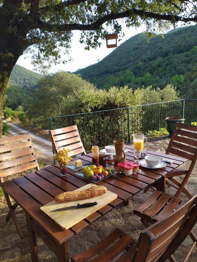 Chambre Cevennes: Piscine, Lamas, Riviere Cros  Exteriör bild